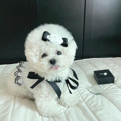 Chanel Style Pet Cloth Dress with hairclip