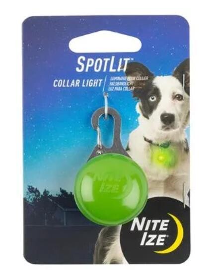 SpotLit Collar Light – Lime