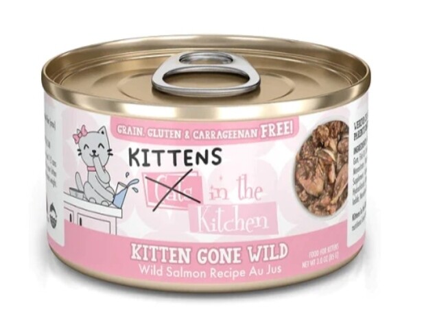 Weruva CATS IN THE KITCHEN Kitten Gone Wild Salmon Recipe Au Jus