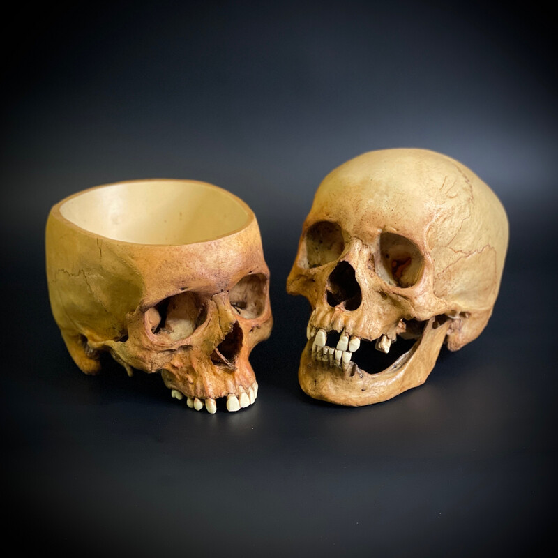 Human skull replica set two 