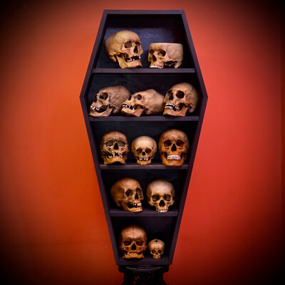 Стеллаж «Гроб» + черепа (анатомические модели)