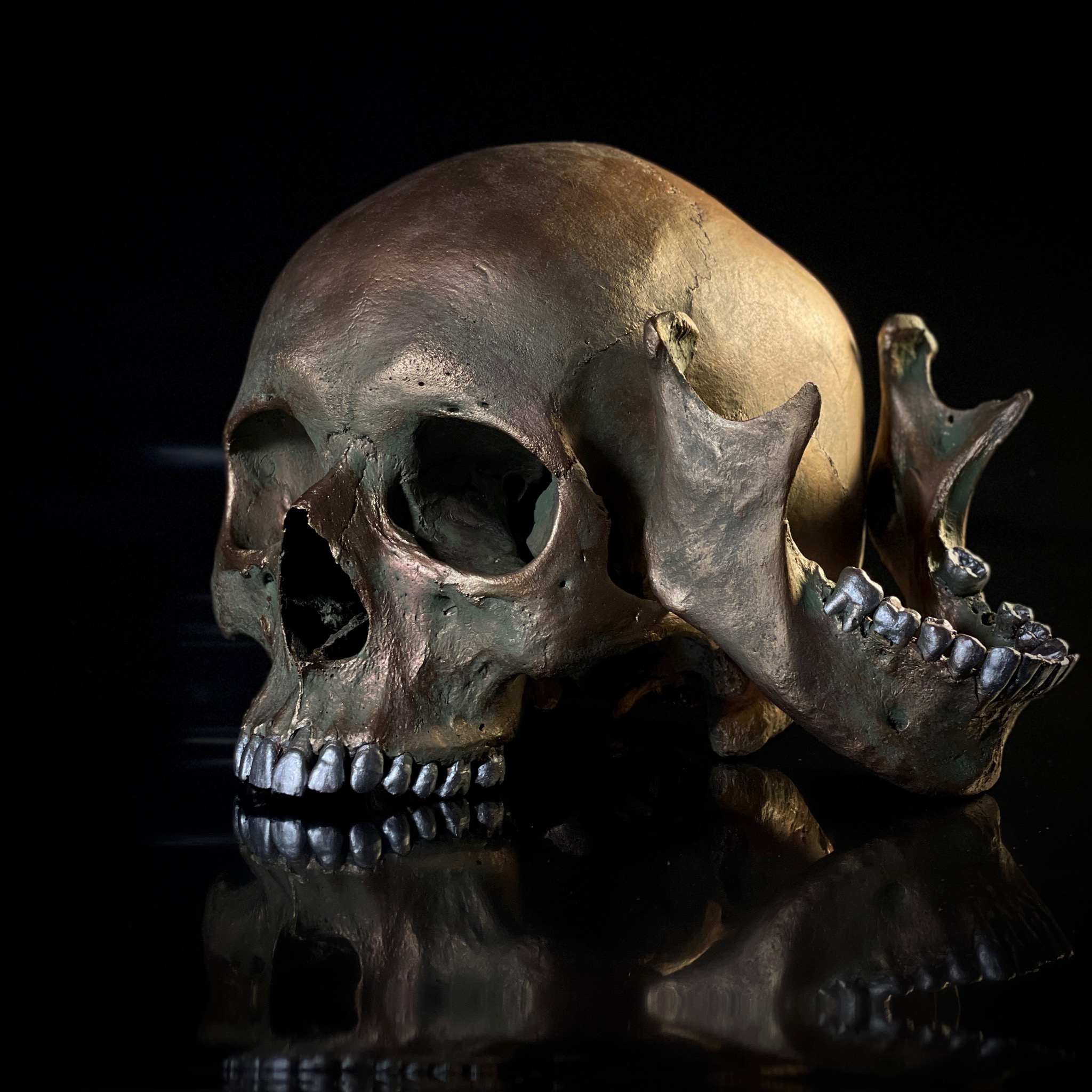 Skull 1. Skull 1