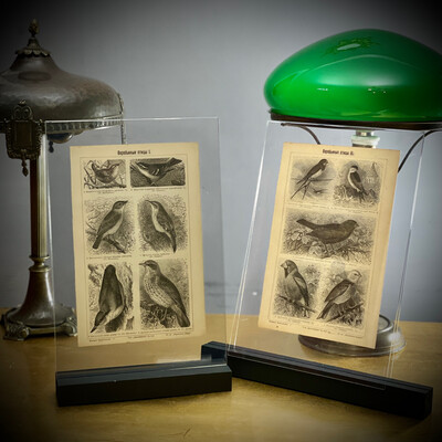Lithography set of two 