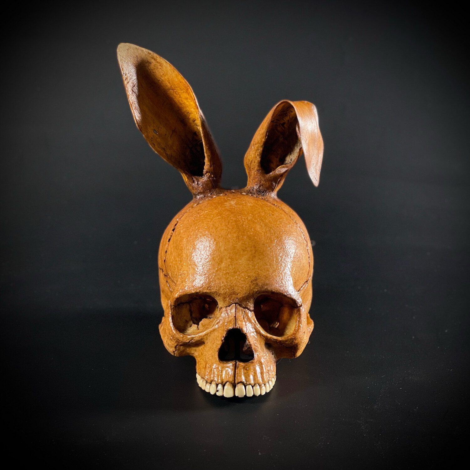 Skull rabbit 