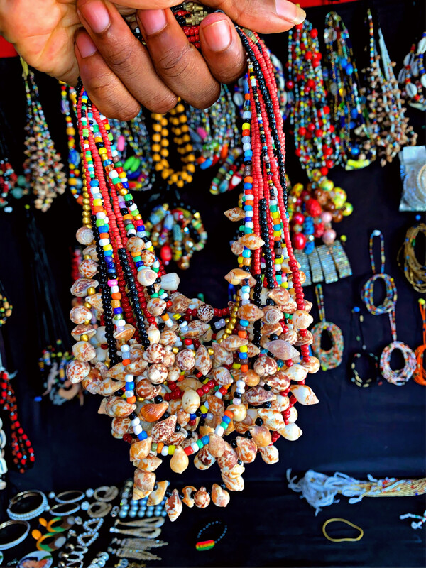 Original Land Snail-Shelled Necklace 
