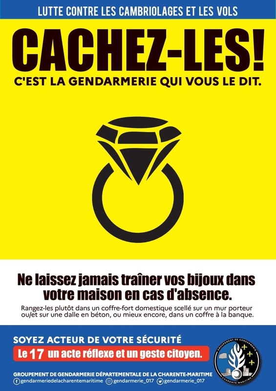 Photographiez-les ! 
Une des 24 affiches de lutte contre les vols et les cambriolages du Major !