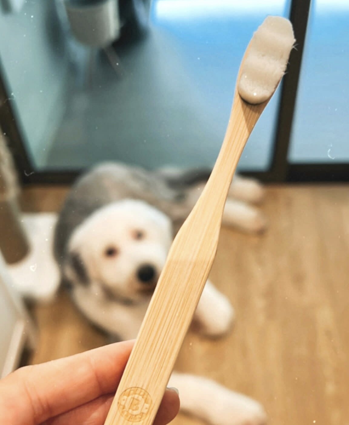 BarkFresh 100% Biodegradable Nano Bristle Toothbrush