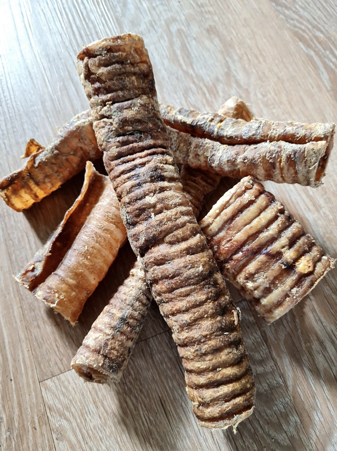 Lamb trachea for dogs safe hot sale