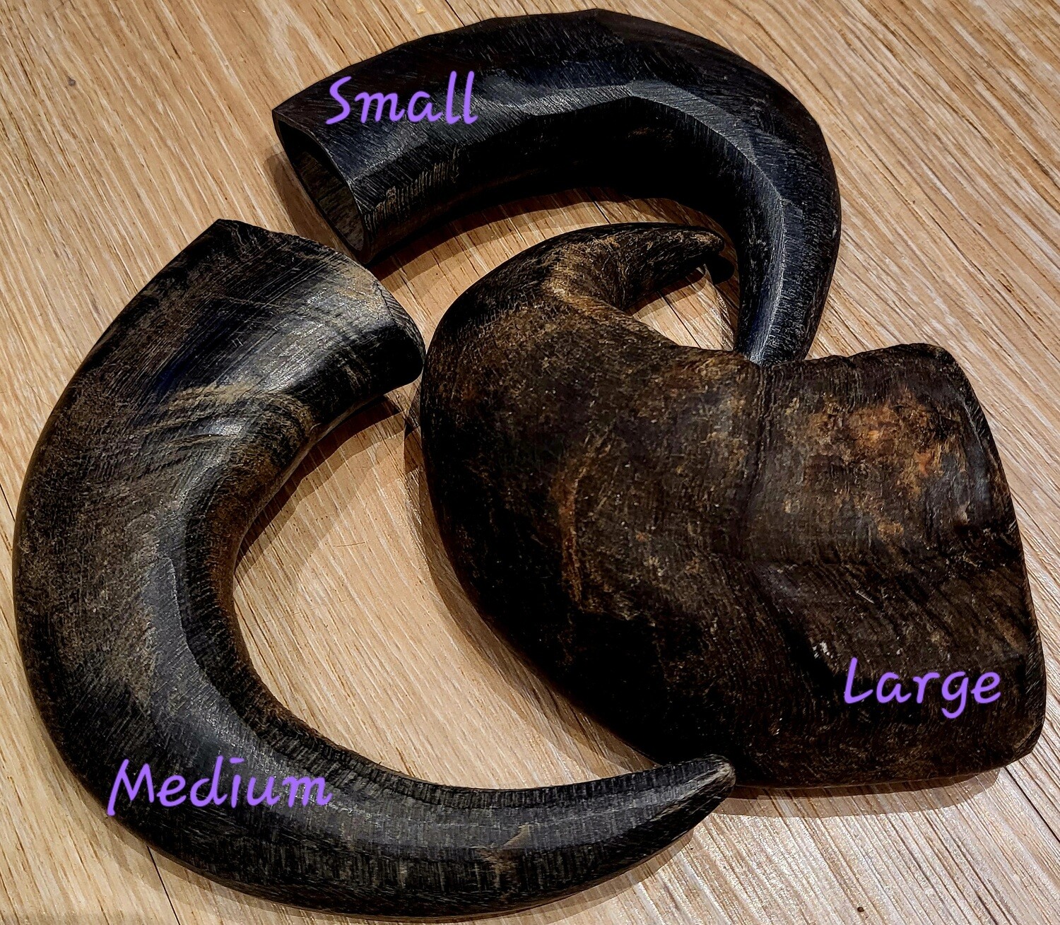 Buffalo Horn