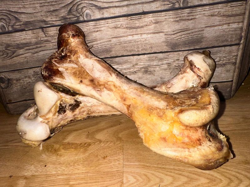 Ostrich Bone