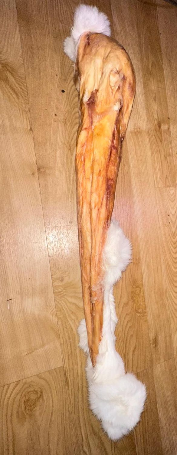 Whole Rolled Rabbit Skin