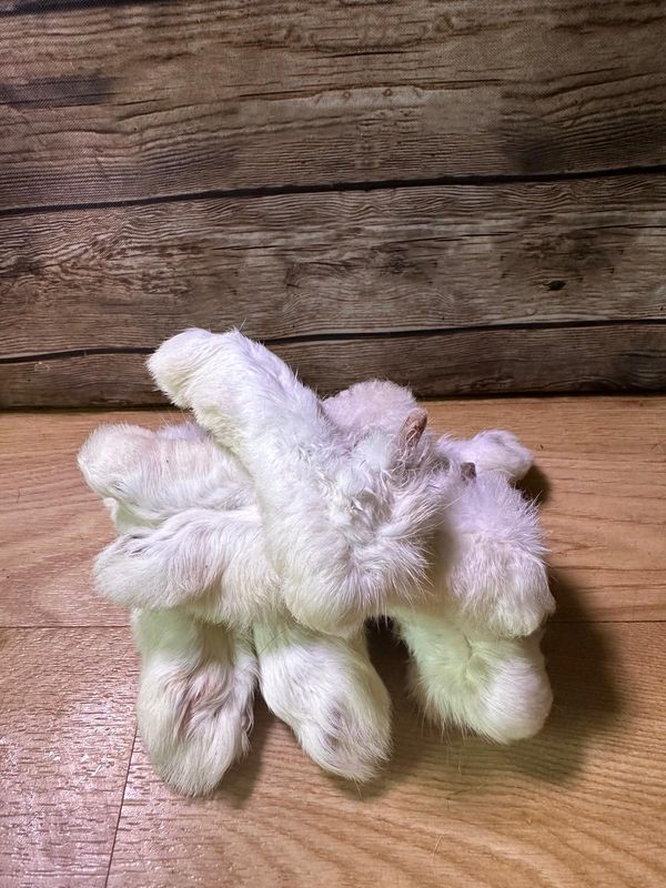 Rabbit Feet