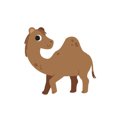 Camel
