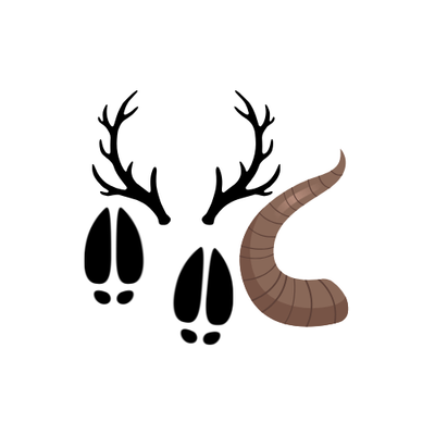 Antlers