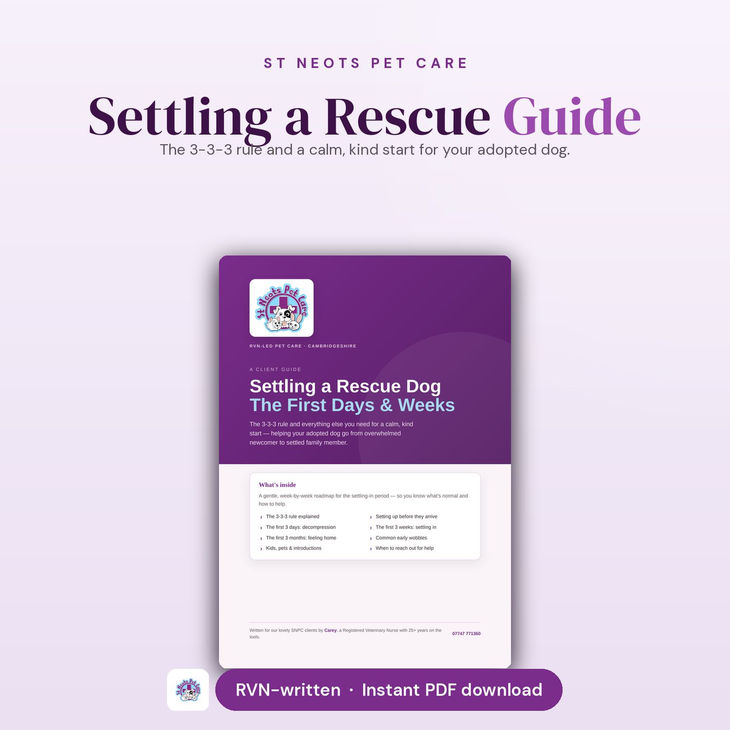 Settling a Rescue Guide — The 3-3-3 Rule