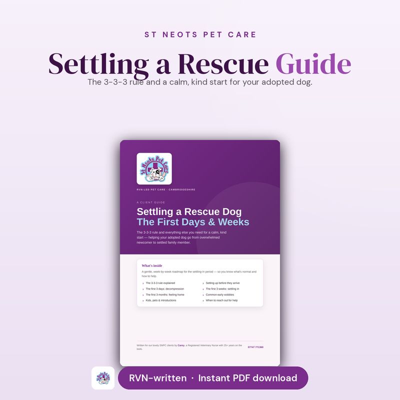 Settling a Rescue Guide — The 3-3-3 Rule