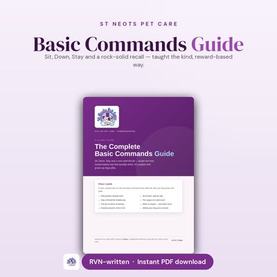 Basic Commands Guide — Sit, Stay &amp; Recall