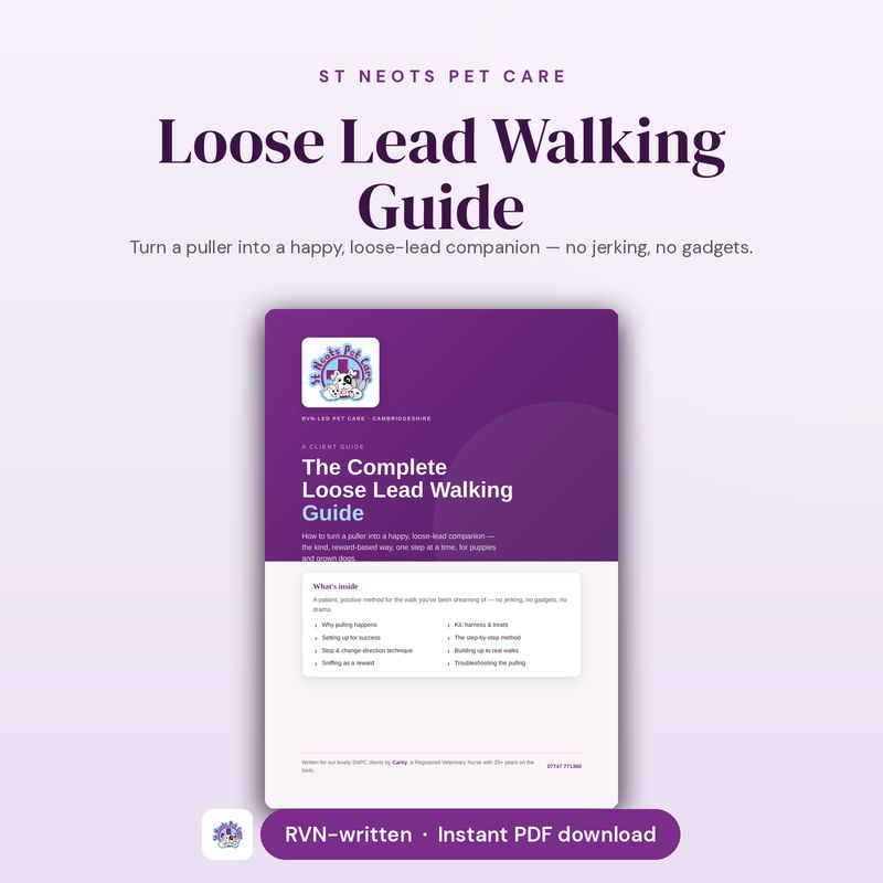 Loose Lead Walking Guide — No More Pulling