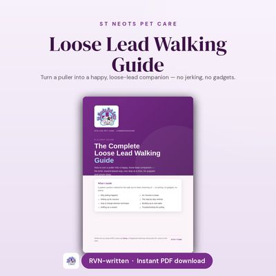 Loose Lead Walking Guide — No More Pulling