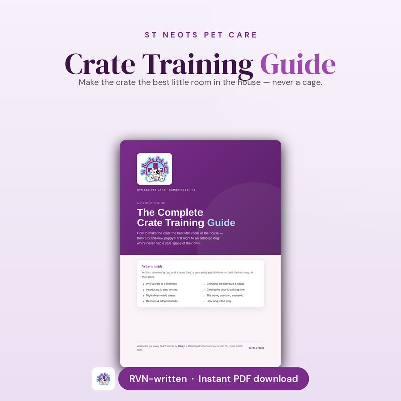 Crate Training Guide — A Calm, Happy Den