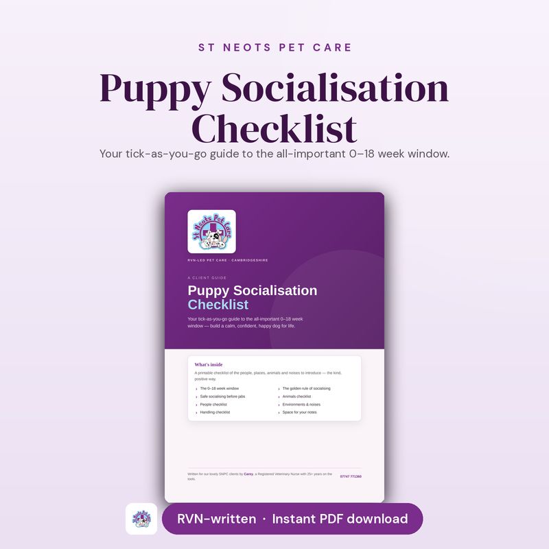 Puppy Socialisation Checklist — The 0–18 Week Window