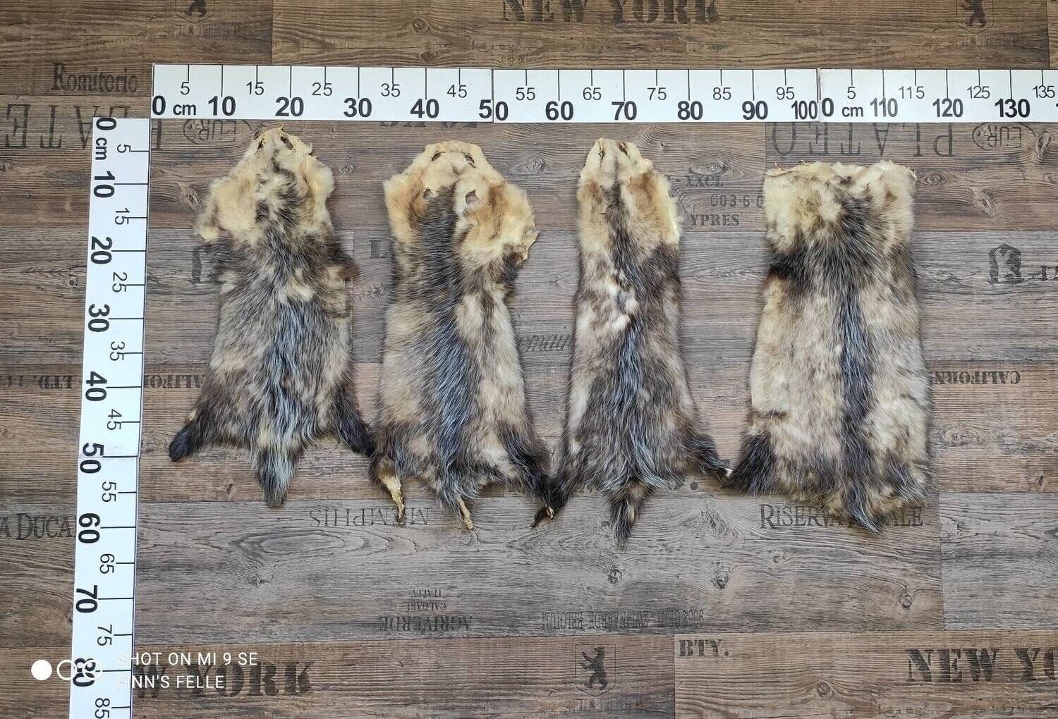Amerikanisches Opossum