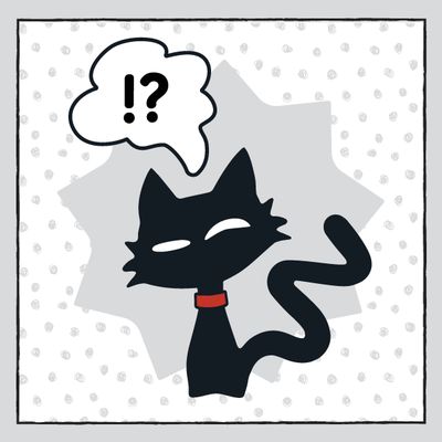 Noir Miaw