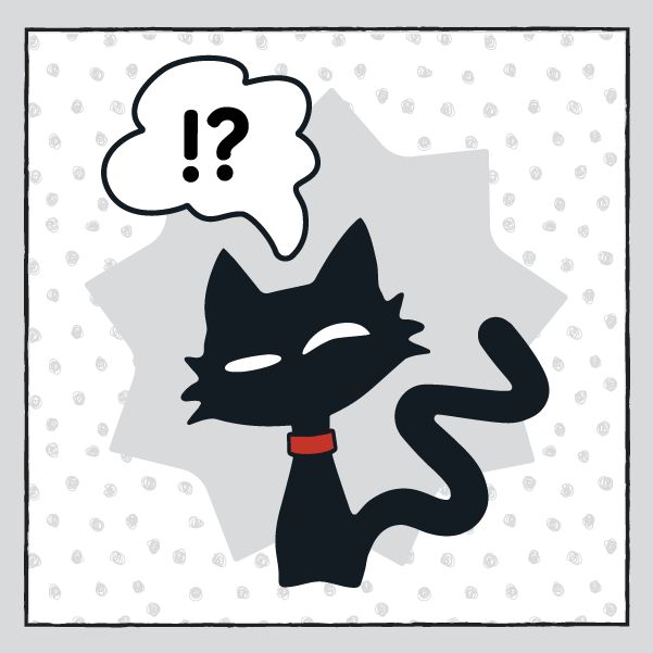 Noir Miaw