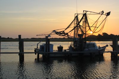 Louisiana Seafood &amp; Culture