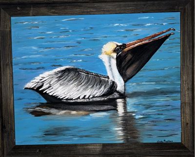 #144 Pelican in Water 14&quot; x 18&quot; canvas framed