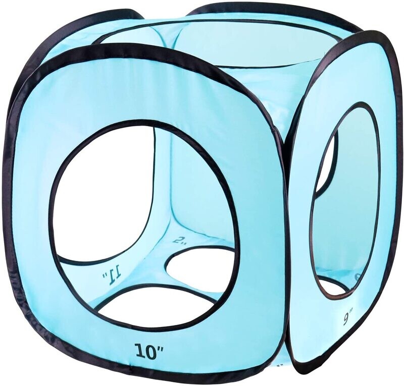 Balloon Sizer