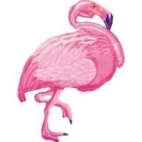 Anagram Flamingo Beach super shape