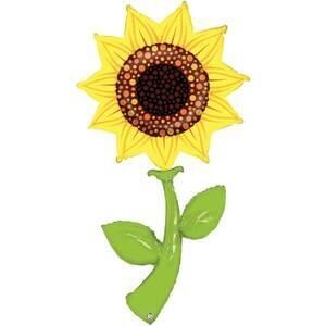 5' Fresh Picks Sunflower