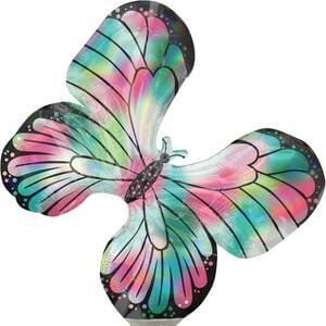 Teal & Pink Butterfly Mini Shape