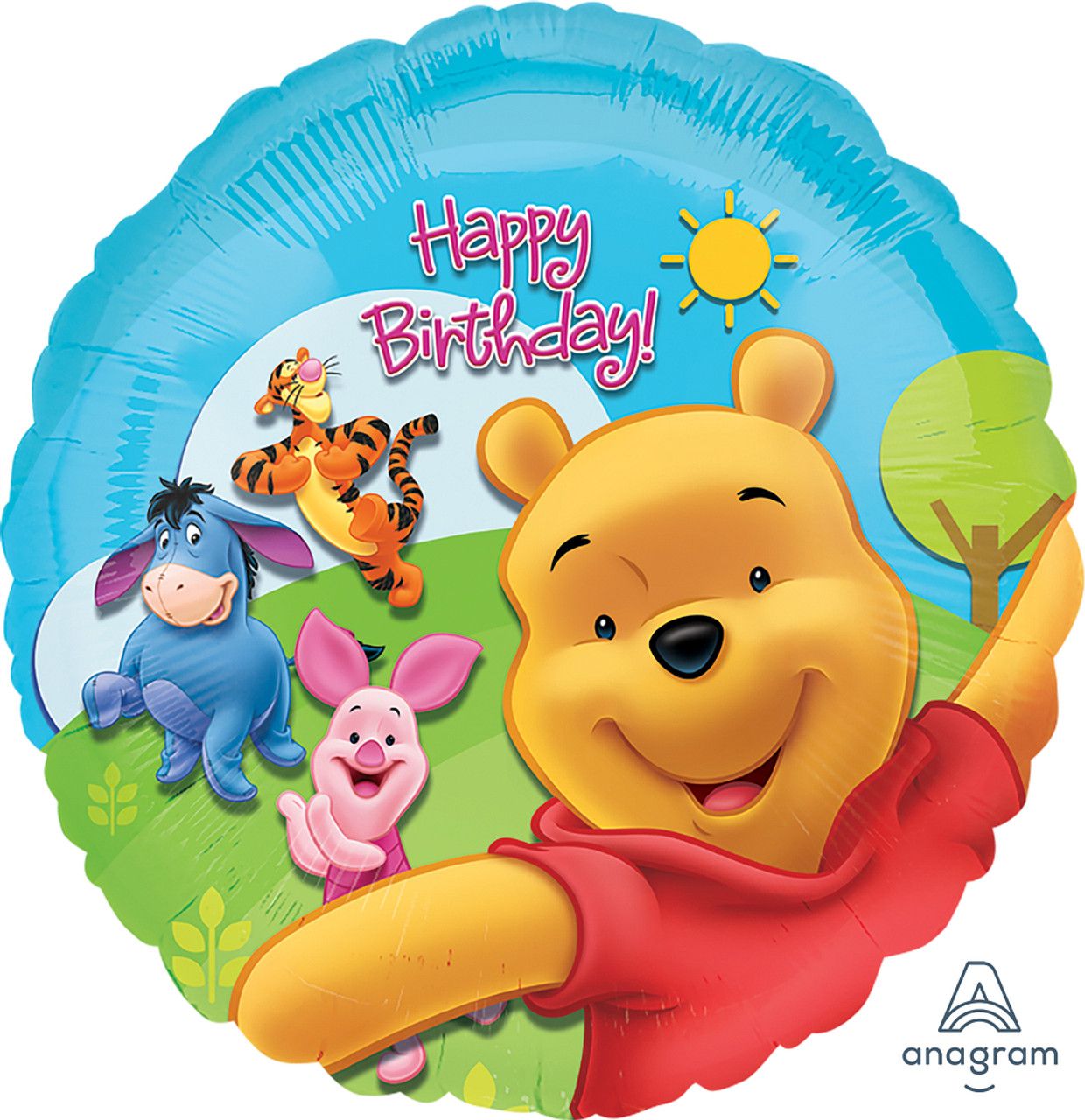 Pooh and Friends Sunny Bday