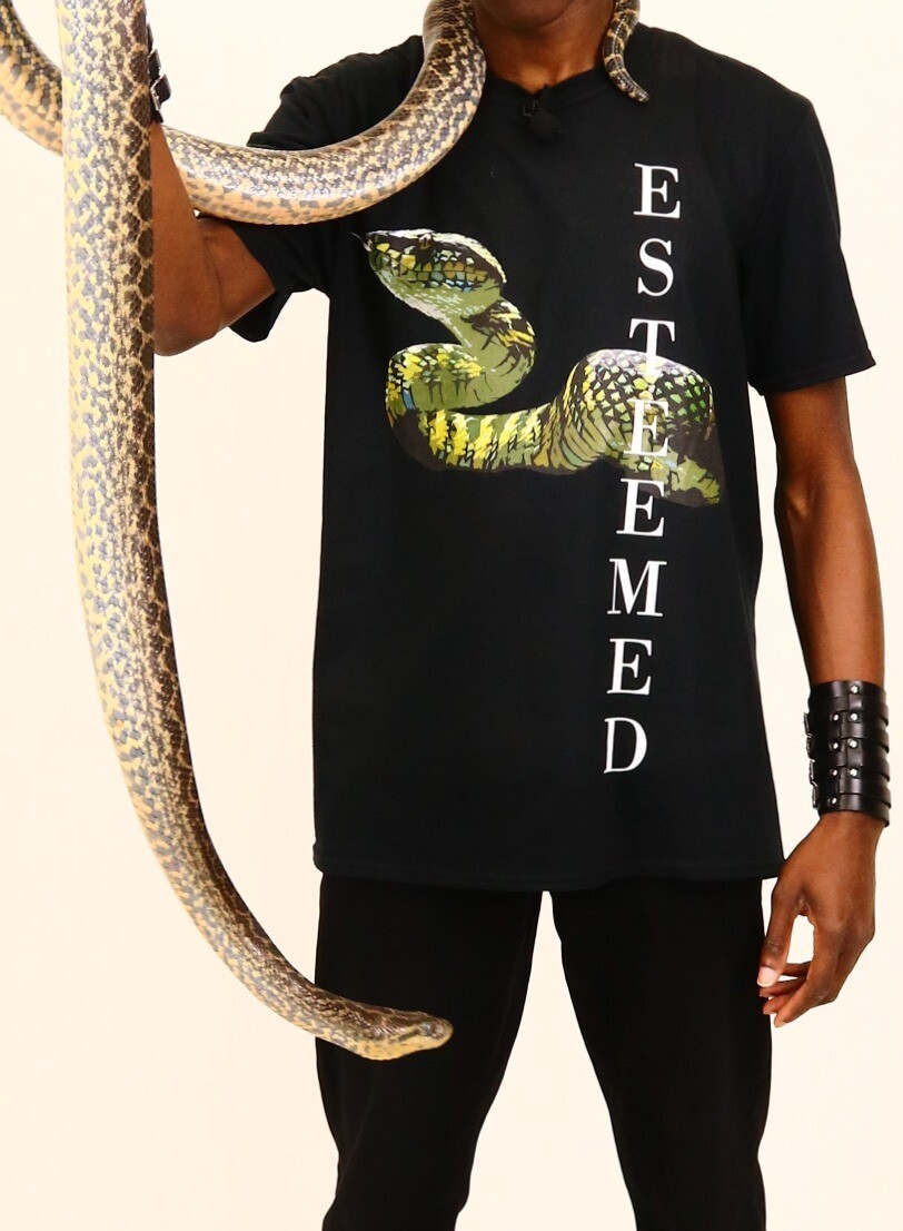 Wagler&#39;s Pit Viper T-Shirt