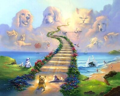 Rainbow Bridge Consultation