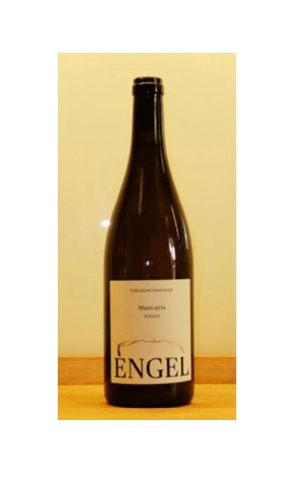 Engel, Muscaris Schale 2016 Engel, Muscaris Schale 2016