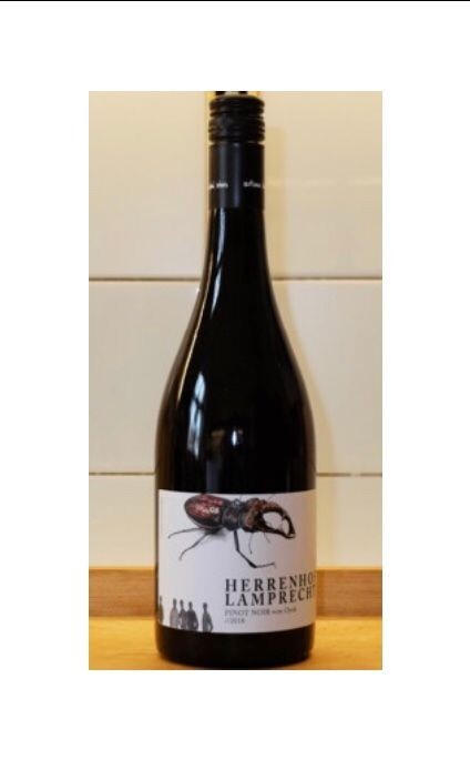 Herrenhof Lamprecht, Pinot Noir vom Opok 2019 Herrenhof Lamprecht, Pinot Noir vom Opok 2019