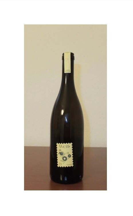 Glatzer Hanna, Traminer Bio 2021