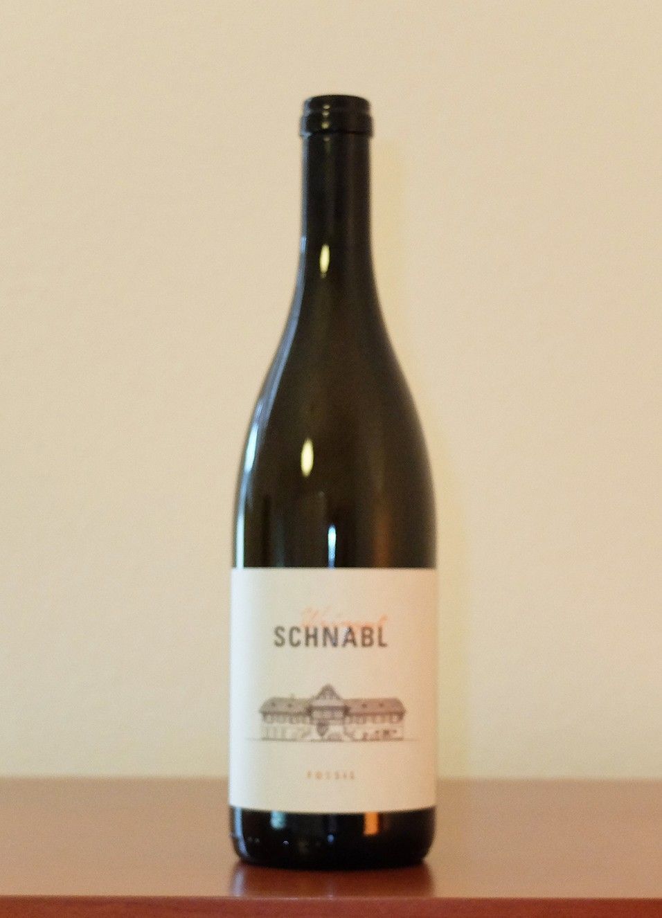 Schnabl Fossil 19