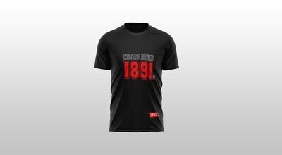 T-shirt - Established - MEMPGE037
