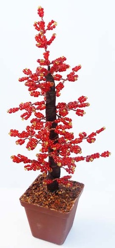Red Pine Tree