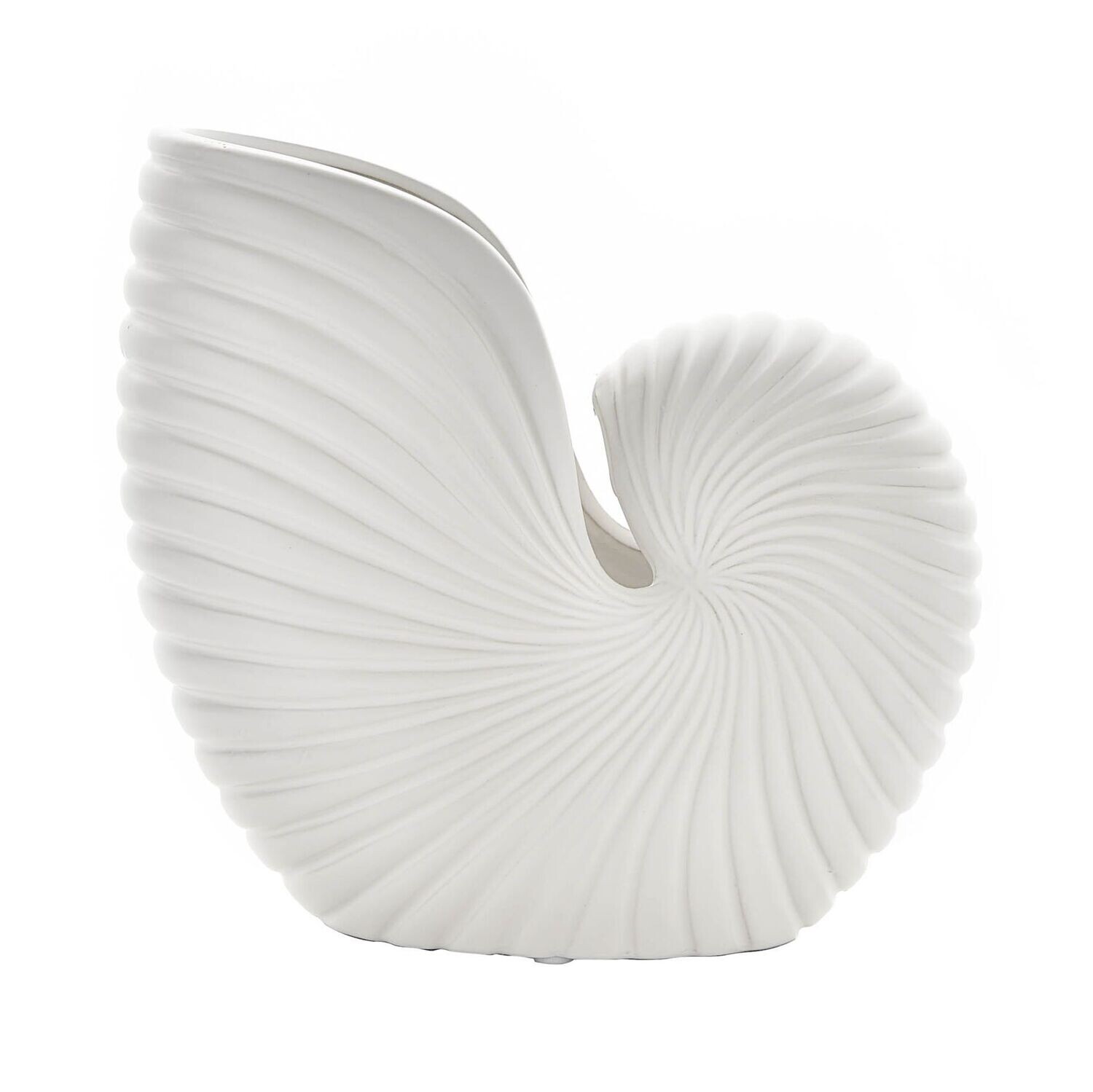 Hestia White Conch Shell Vase