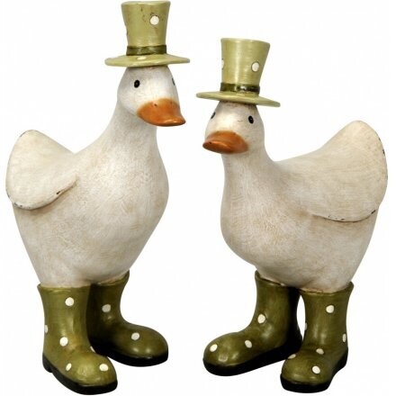 Green Dotty Duck