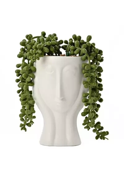 FACE PLANTERS WITH FAUX PLANT 16CM