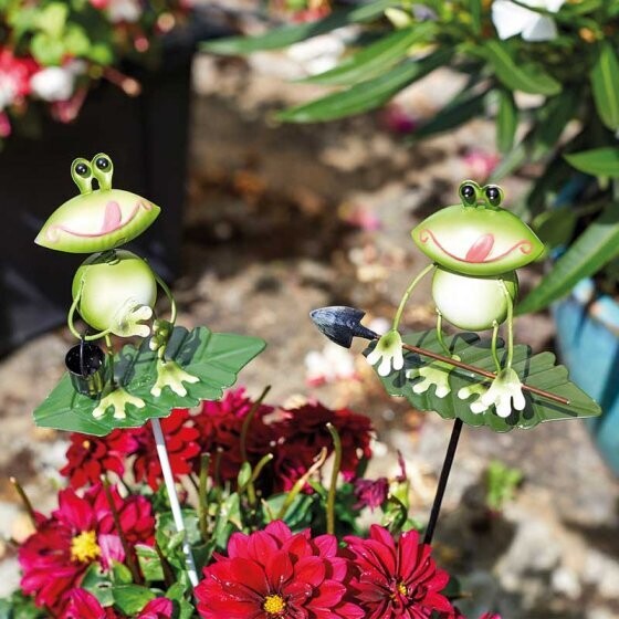 Frog Loony Stakes