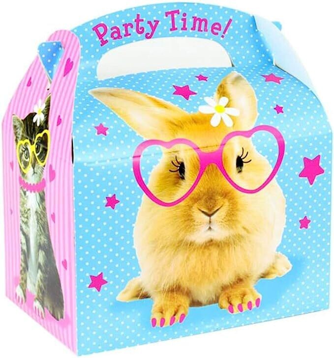 Pet Party Favor Box-1 Pc