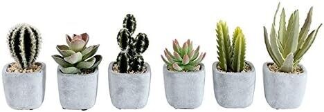 CACTUS IN CEMENT POT (6 ASS.)