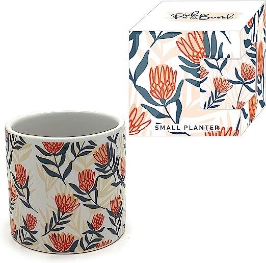 Ceramic Indoor Vase - Protea - Floral Dream - Small